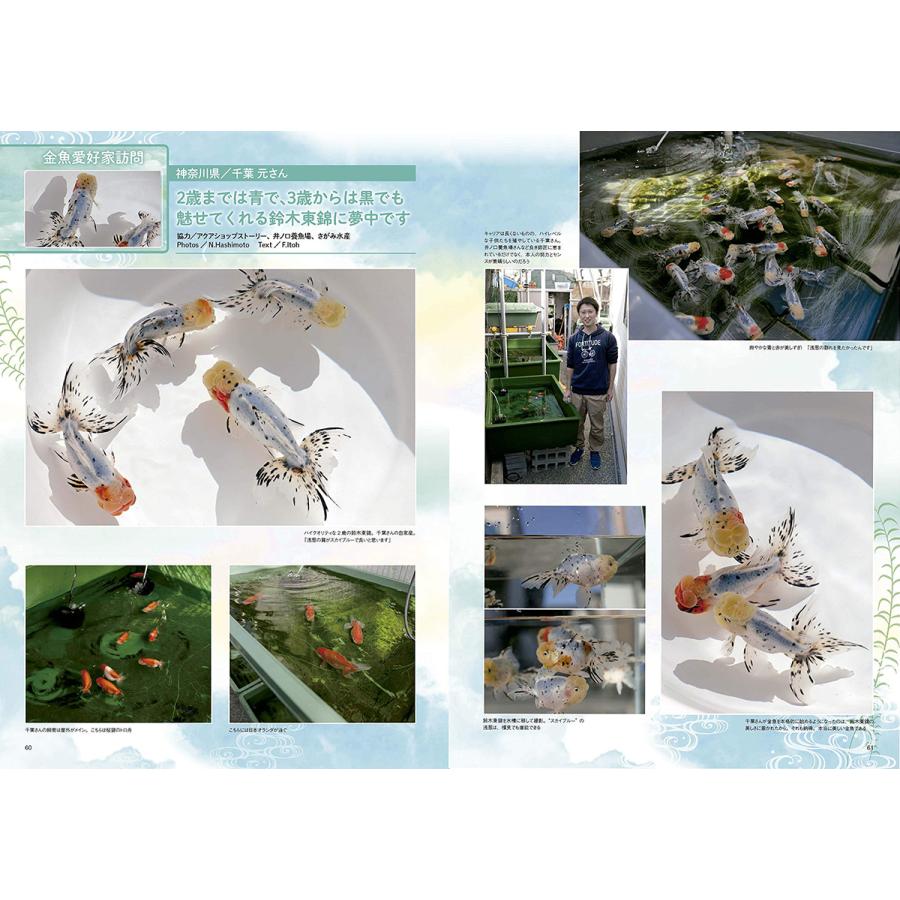 きんぎょ生活 No 7 奥深く楽しい金魚の世界 年1回発売 K 06 195 Technicalsport Passo 通販 Yahoo ショッピング