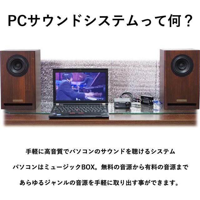 Pc Sound System サウンドシステム Pc用 スピーカー アンプ Dac ケーブル パソコン用 Usb接続 P 05 020 Technical Sport Passo 通販 Yahoo ショッピング