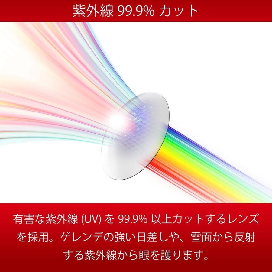 SWANS（スワンズ） 【アウトレット】スノーゴーグル SWANS 23-24 190