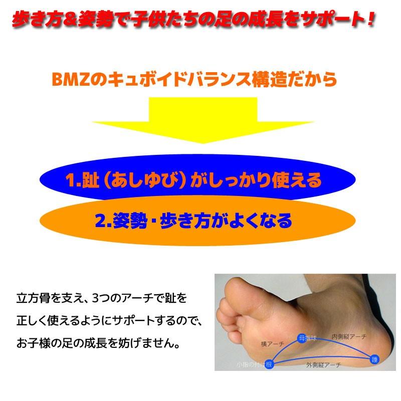 インソール キッズ ジュニア Bmz キュボイドバランス理論 アスリート スポーツ スキー スノーボード 中敷き S 13 098 Technical Sport Passo 通販 Yahoo ショッピング