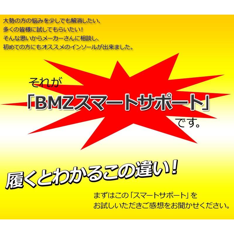 Bmz インソール Cclp カルパワー スマートサポート A イエロー Neez Bmg 中敷き S 13 101 Technicalsport Passo 通販 Yahoo ショッピング