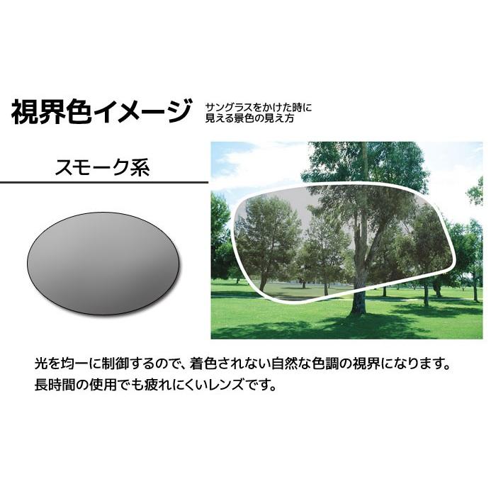 SWANS スワンズ スポーツサングラス LION SIN LI SIN-0151 [MGMR SWANS スワンズ スポーツサングラス LION SIN LI SIN-0151 [MGMR