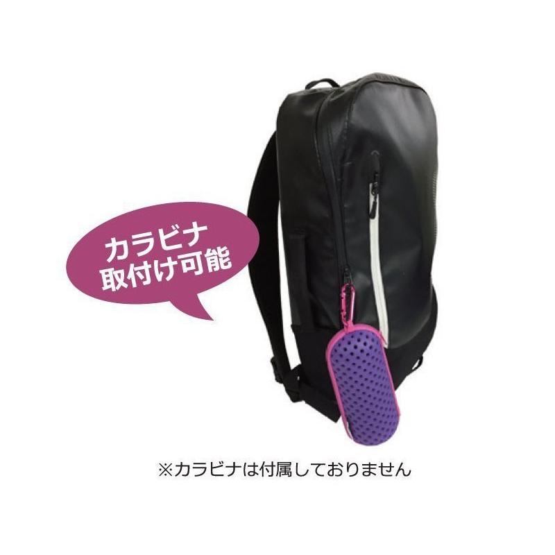 SWANS（スワンズ） スイムゴーグルケース SA-141 Sサイズ デミスト