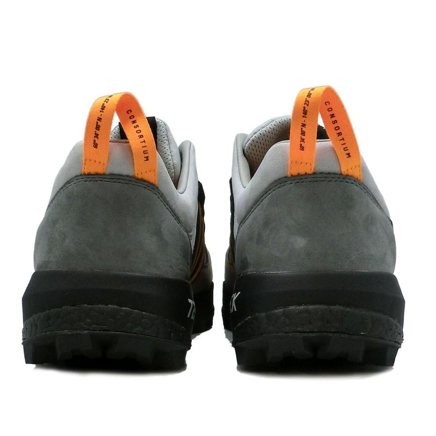 adidas consortium x livestock terrex skychaser stone