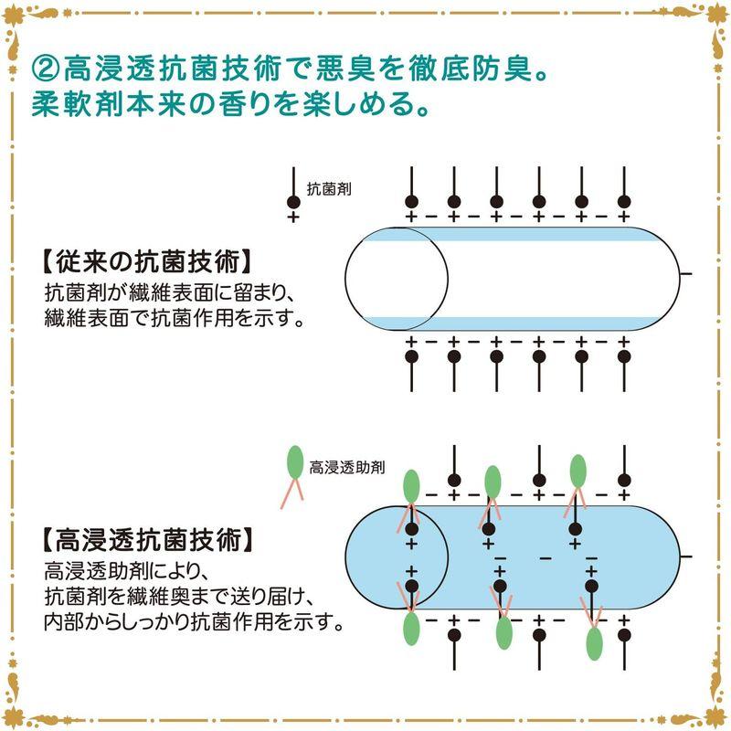 ファーファストーリー洗剤あわあわウォッシュ900g詰替｜pasworksn｜10