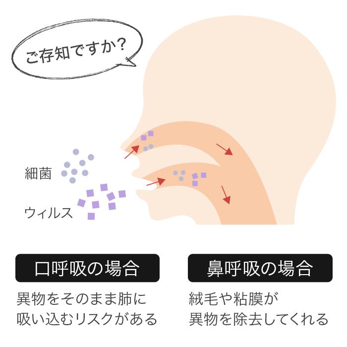 おこさまセット パタカラミニ ハナタカSS(幼児向け)　口呼吸予防 口を閉じる力を鍛える｜patakara｜05