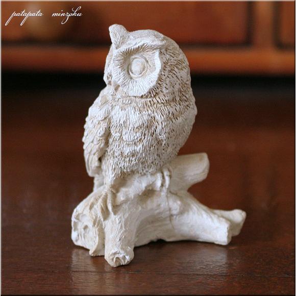 梟 ふくろう フクロウ 剥製 小さめ 25cmくらい 検索：縁起物 鳥 置物