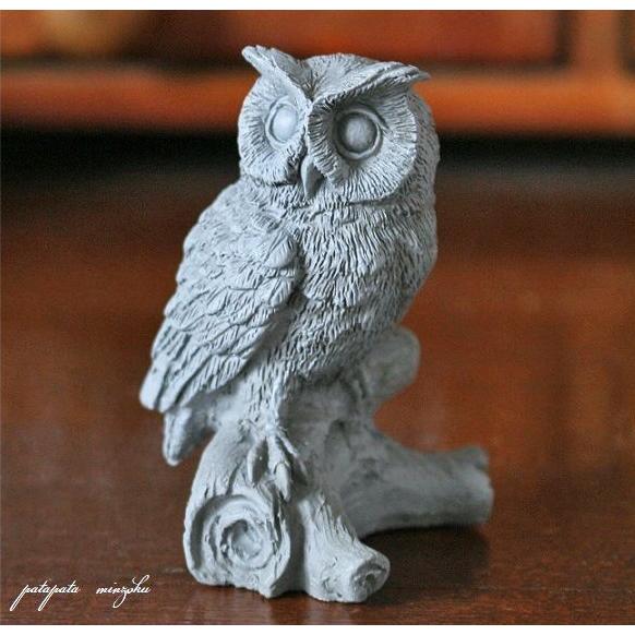 フクロウの剥製 コノハズク 約30cm 2025年最新】フクロウ剥製の人気アイテム - メルカリ