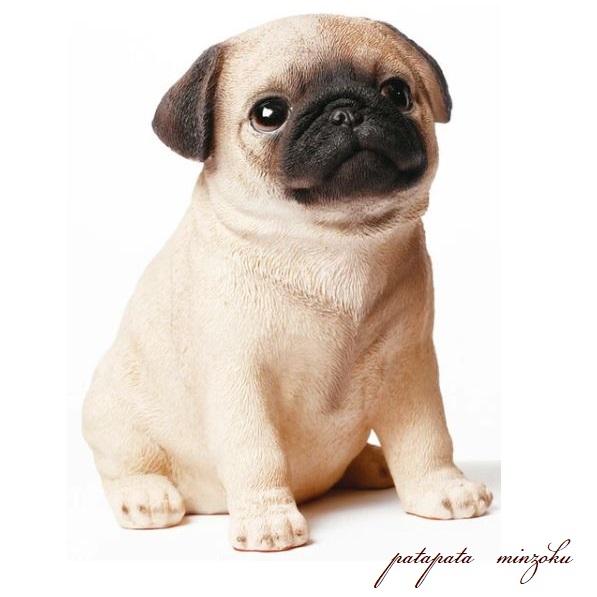 お座りパグ オブジェ 置物 犬 トイプー ドック : パタパタ民族 - 通販