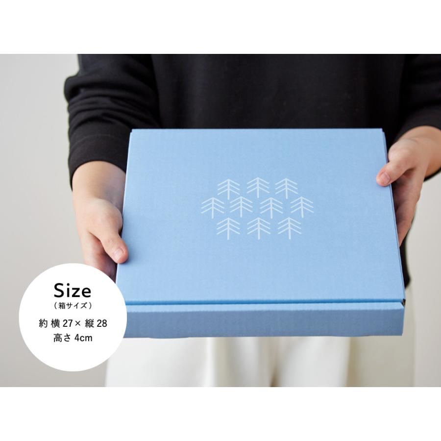 Paratiisi アラビア ARABIA パラティッシ プレート 26cm ブラック / 皿