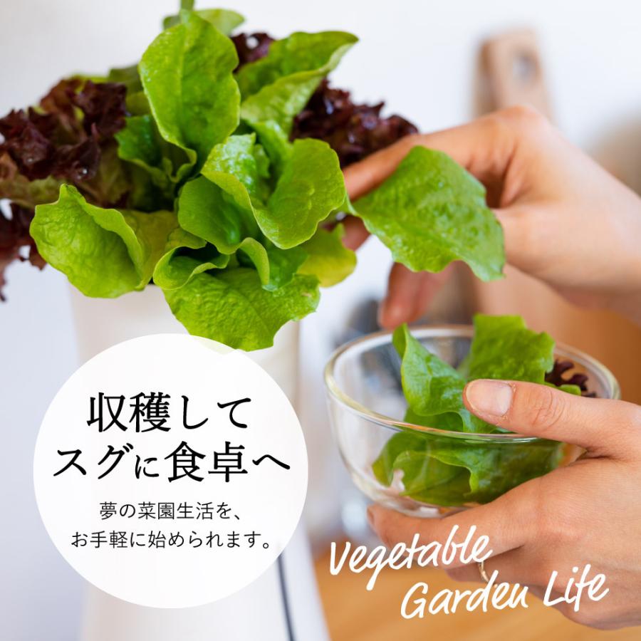 スマート水耕栽培キット ボタニアム BOTANIUM 送料無料 家庭菜園 自動