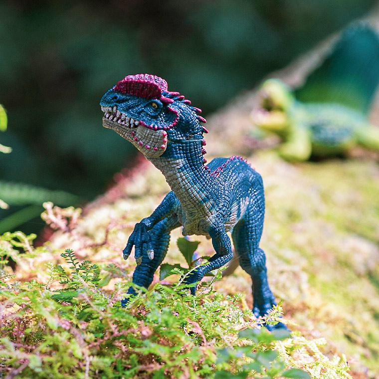 シュライヒ Schleich 14567 ディロフォサウルス Dinosaurs 恐竜 リアル 手塗り 知育玩具 インテリア 教育 プレゼント おしゃれ おすすめ ジュラシック｜patie｜02