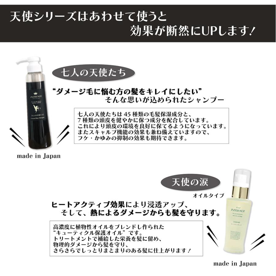 プロコンディショニング ヘモグロス 100ml パティエンス ダメージ補修修復 PPTヘマチン｜patience-store｜04