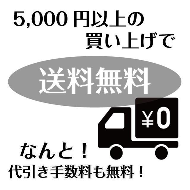 プレミアムキット サラストナール ストレートケア お試しセット_1
