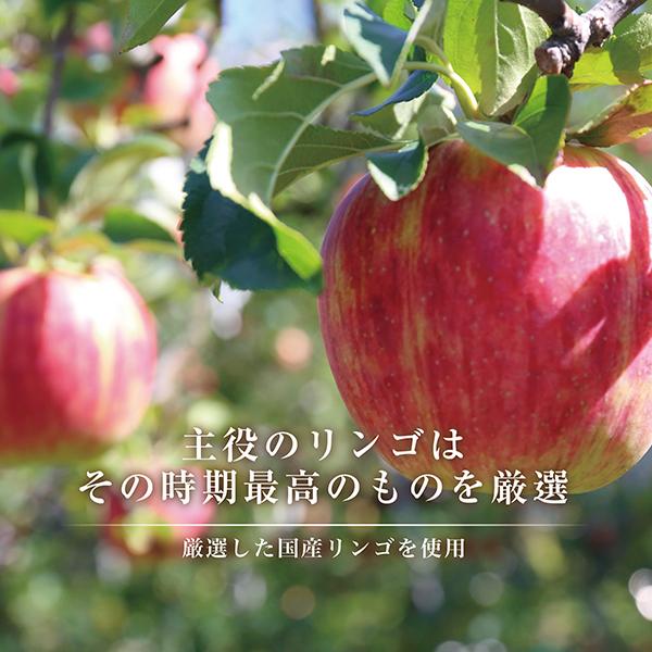 オリジナルアップルパイ   6号  直径約18cm    一つ一つ手作り で焼き上げ後 美味しさを閉じ込めて そのままお届け     冷凍発送 |  | 02