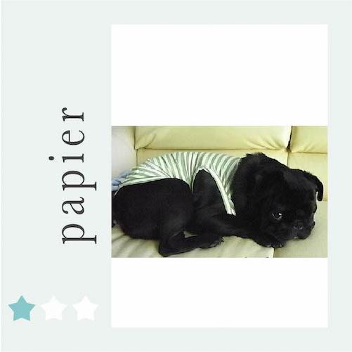 犬服 タンクトップ ハンドメイド 4着 A4印刷型紙 犬服タンクトップ(S〜LL/ハンドメイド/洋裁/ミシン