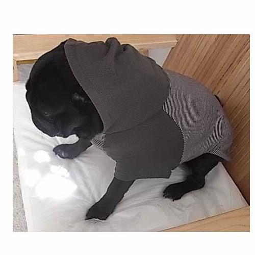 ☆ 犬服ハンドメイドニット【オーダーページ】☆ 7651d628133bee1ffaf3098a0087c4