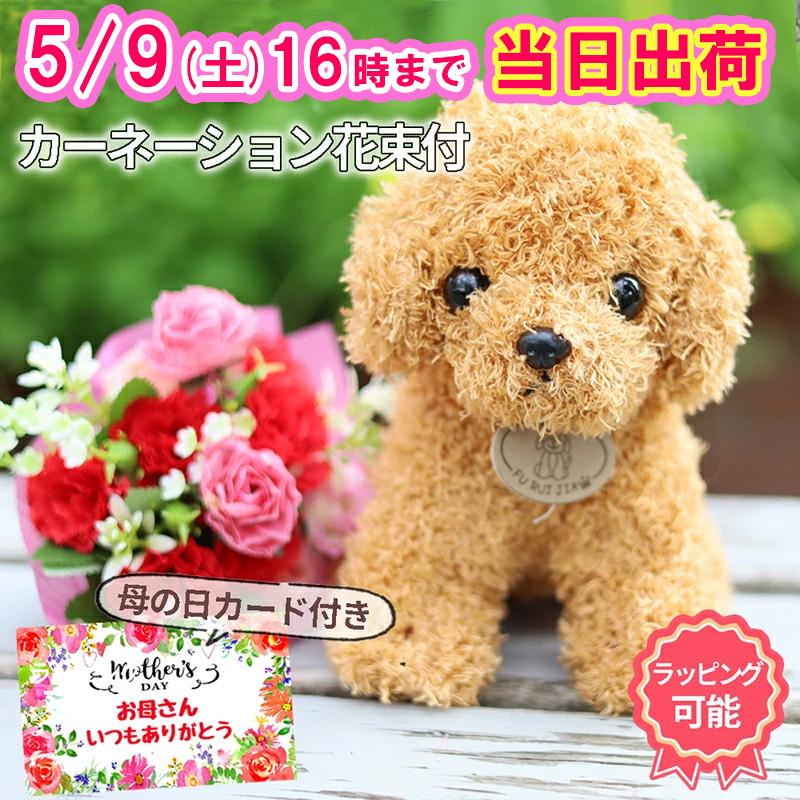 母の日 花 2026 トイプードル 犬 ギフト カーネーション 花セット 母の日ギフト プレゼント ぬいぐるみセット 80代 70代 80代 花 祖母 孫から 花束プレゼント（Yahoo!・女の子プレゼント パールパティ）