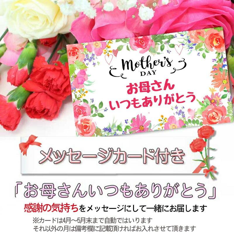 母の日 ギフト 60代 70 代プレゼント 花 カーネーション 2025 母の日 ギフト 60代 70 代プレゼント 花 カーネーション 2025