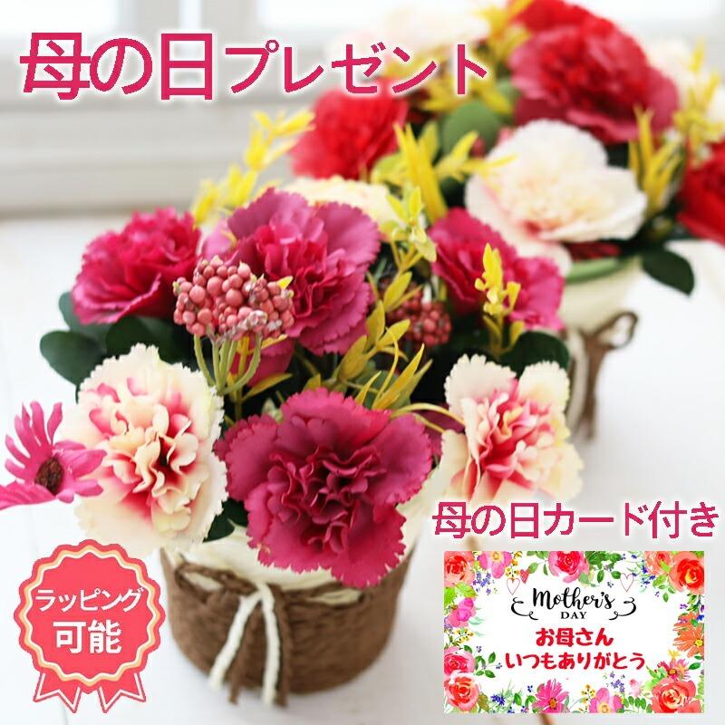 母の日プレゼント ギフト花 カーネーション鉢 60代 70代 80代 独創的