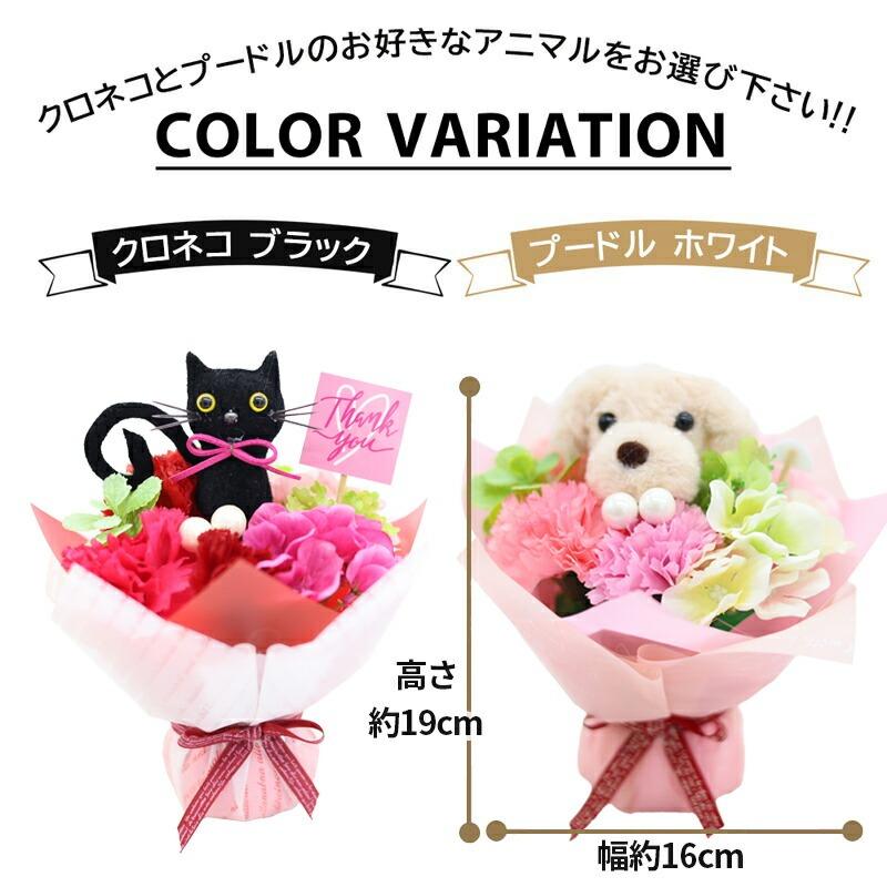 母の日 ギフト 花 カーネーション プレゼント 2025 黒猫 70代 60代 80