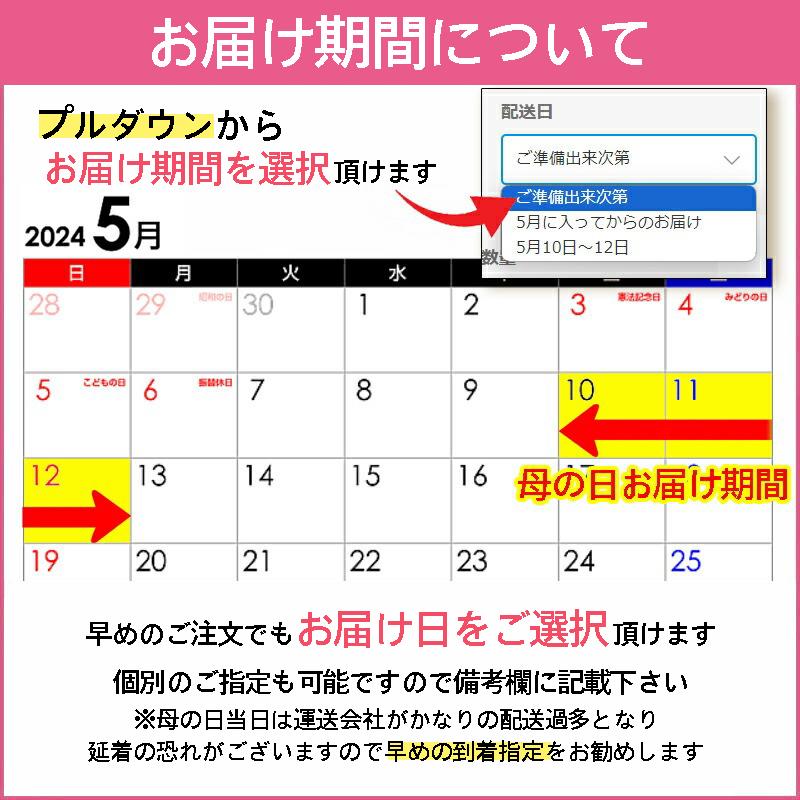 母の日 プレゼント 花 ギフト 2024 カーネーション おしゃれ お花 40代 50代 60代 70代 80代  花束 ブーケ ねこ 犬 ペンギン 猫｜patty｜23