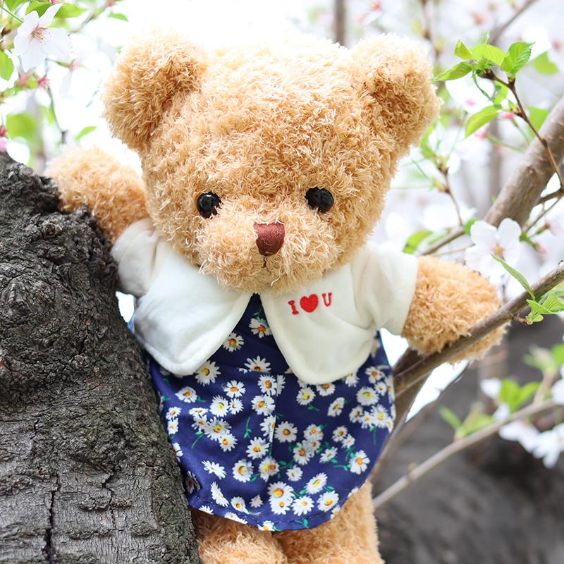 Heart Angel ぬいぐるみ くま 服 テディベア クマ 熊 誕生日