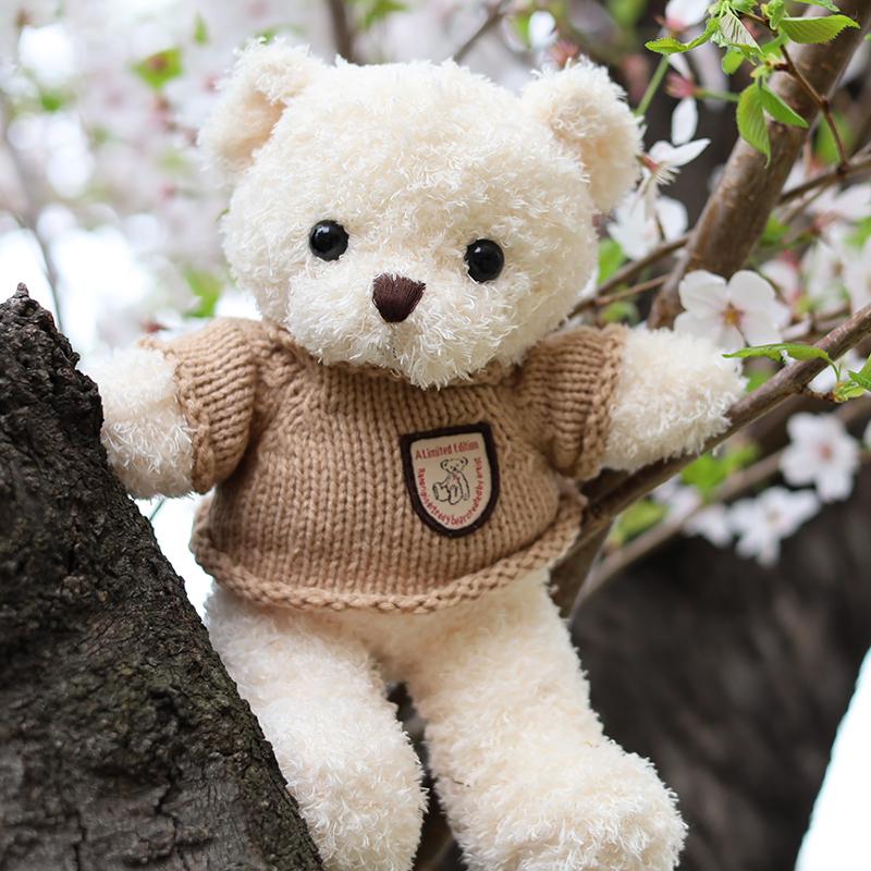 Heart Angel ぬいぐるみ洋服 テディベア ぬいぐるみ くま 大きい Heart Angel ぬいぐるみ洋服 テディベア ぬいぐるみ くま 大きい