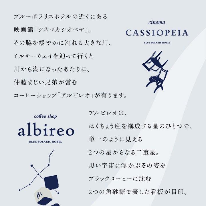 tシャツ ティーシャツ メンズ レディース 半袖 星 星座 Albireo アルビレオ 白鳥 宇宙 ホテル ポラリス SAIL セイル (メール便50)｜paty｜17