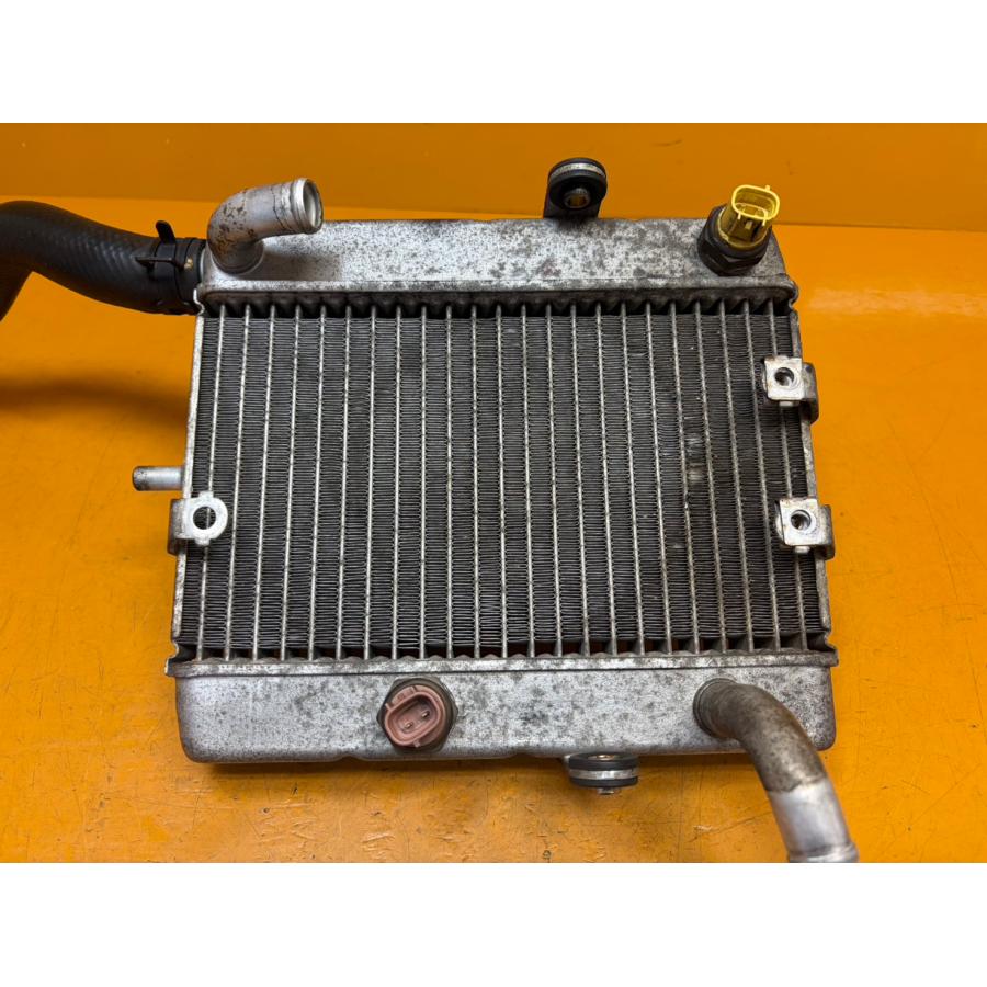 送料無料!!】[AAA 31918]@ヤマハ YAMAHA マジェスティ250 SG03J-070