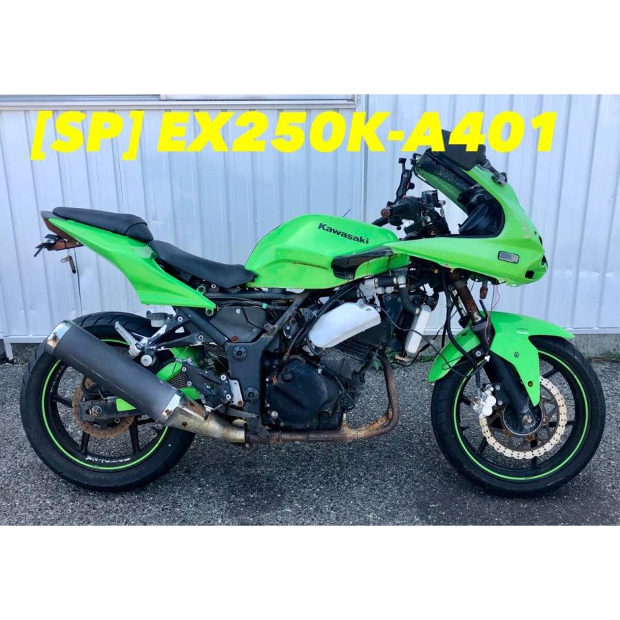 送料無料】[SP 53668]カワサキ ニンジャ250R EX250K-A401 Ninja 
