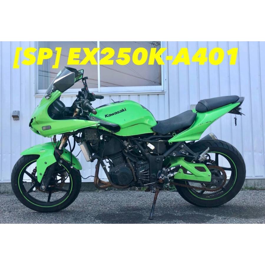 送料無料】[SP 53668]カワサキ ニンジャ250R EX250K-A401 Ninja