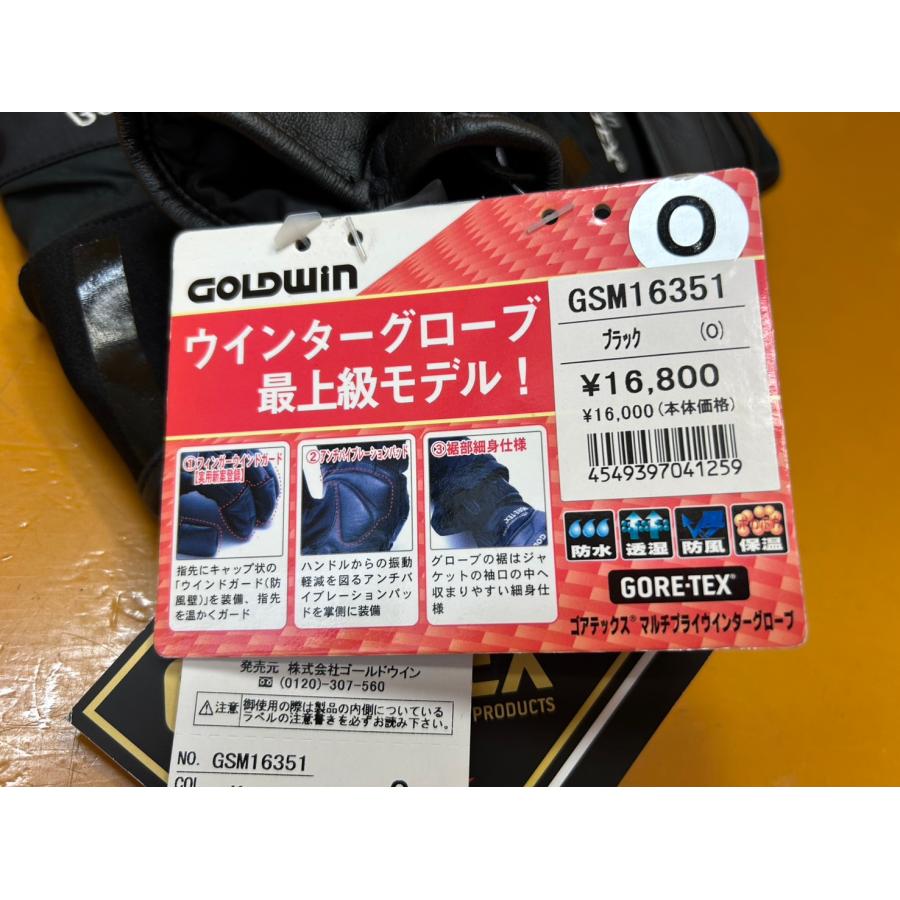 送料無料!!】73270 新品 GOLDWIN GORE-TEX マルチプライウィンター