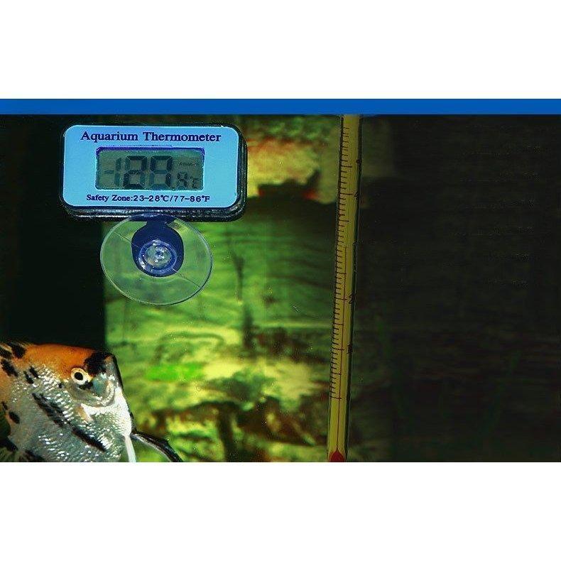 デジタル水温計 アクアリウム水温計 水中設置 防水 吸盤 コードレス 温度管理 デジタル表示 アクアリウムグッズ 観賞魚 熱帯魚 メダカ 金魚 ペット｜pay｜05