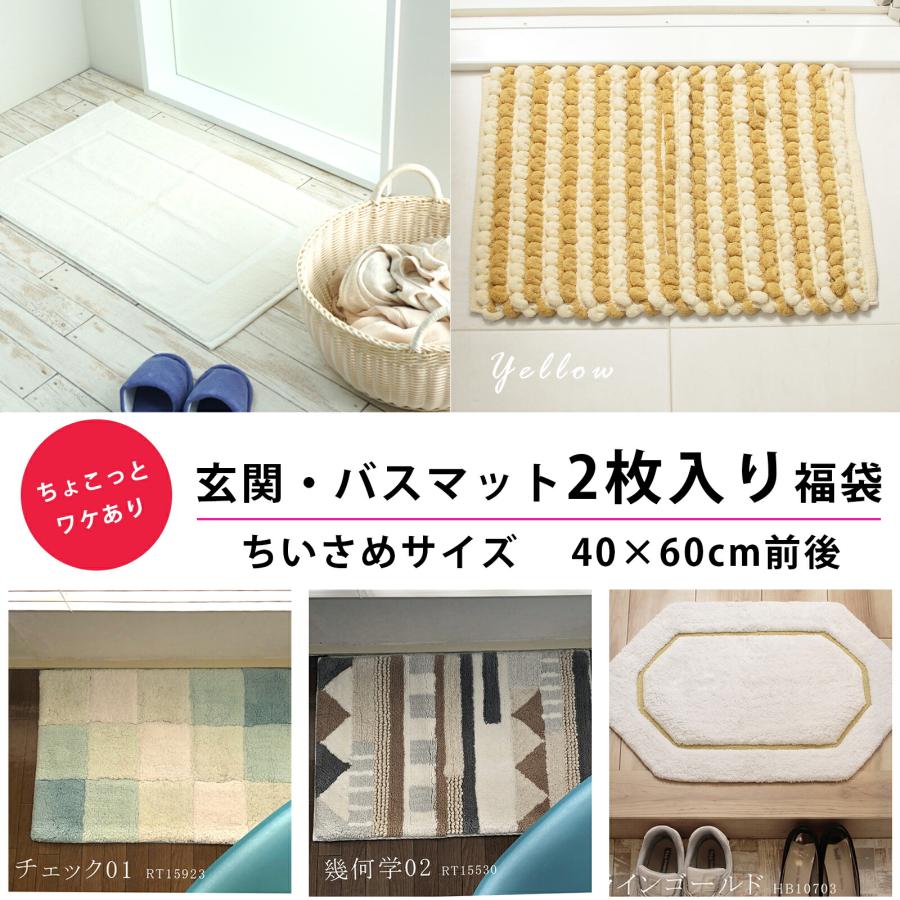 訳あり ワケあり バスマット 玄関マット2枚入り福袋 40×60cm前後