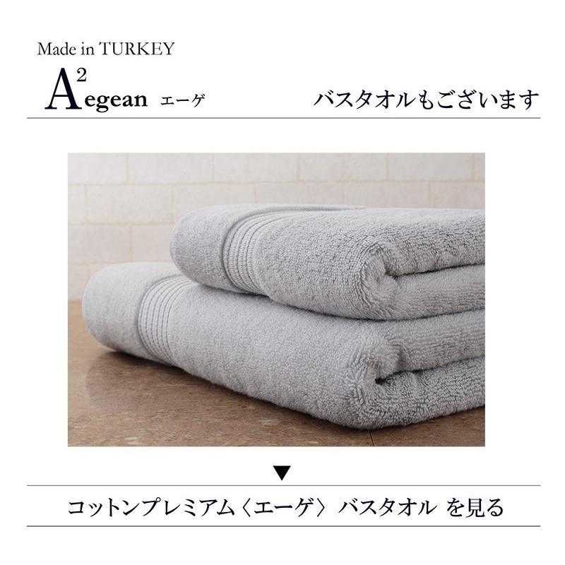 大同 フェイスタオル タオル トルコ 綿100％ レターパック 長繊維 軽い