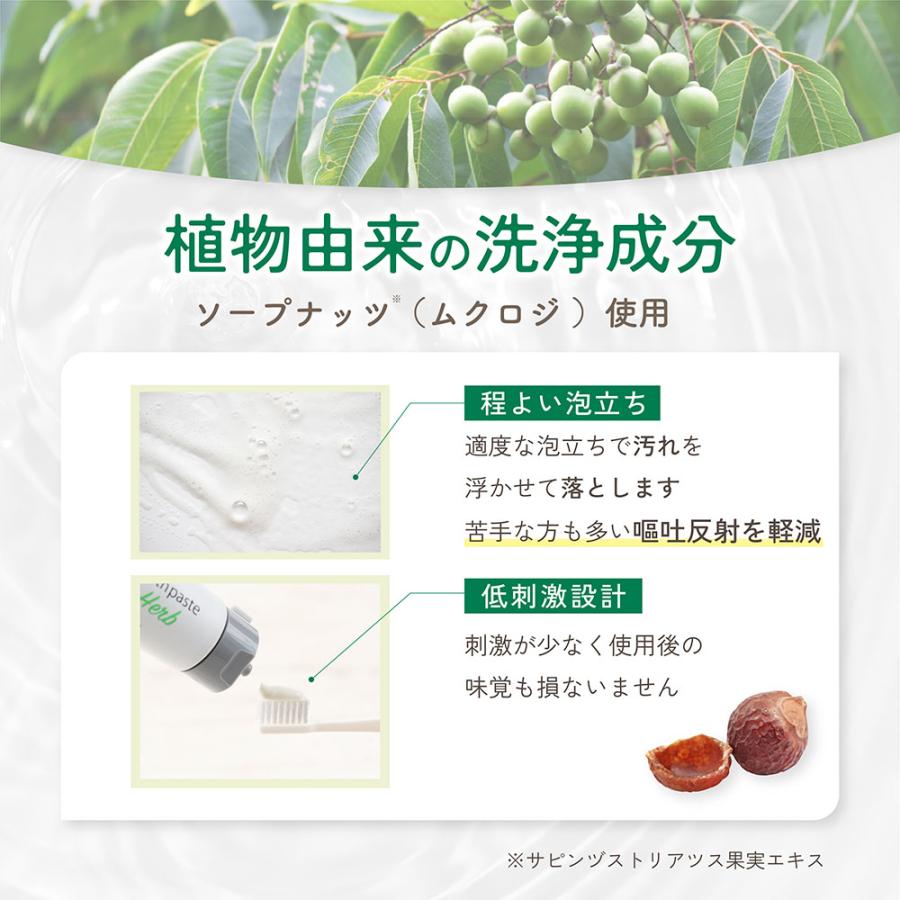 歯磨き粉 メイクブレス 正規販売店 自然派 無添加 ハミガキ 口臭予防 防腐剤フリー 植物由来 レモンハーブの香り 100g | MAKE BREATH | 02