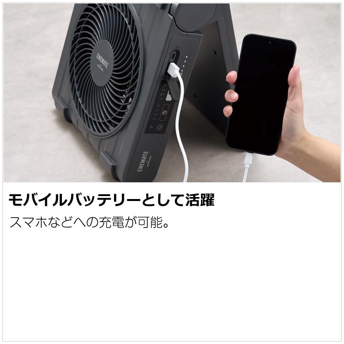 APIX INTERNATIONAL（アピックス インターナショナル） アピックス