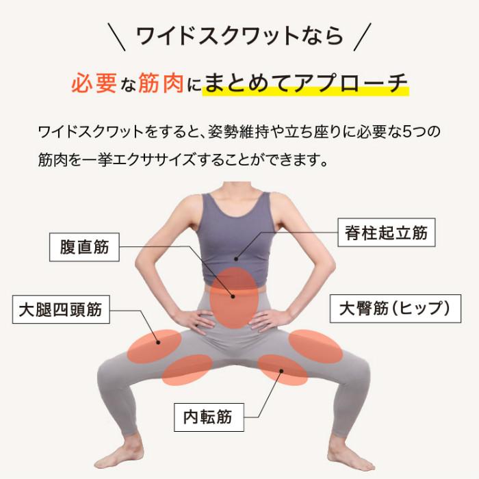 PROIDEA プロイデア ワイドスクワットホッパー グレー❤️ ワイドスクワットホッパー | 【公式】プロイデアオンラインショップ