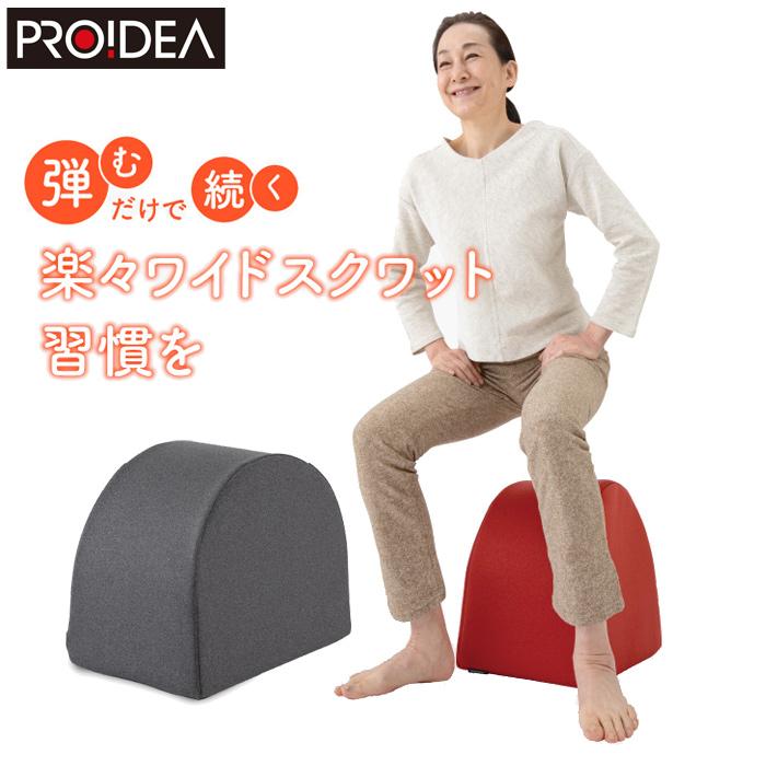 PROIDEA（プロイデア） ドリーム エクササイズクッション ワイド