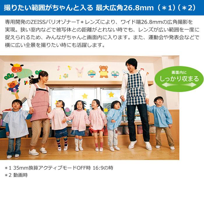 SONY ソニー デジタル4Kビデオカメラレコーダー 4Kハンディカム SONY ソニー デジタル4Kビデオカメラレコーダー 4Kハンディカム