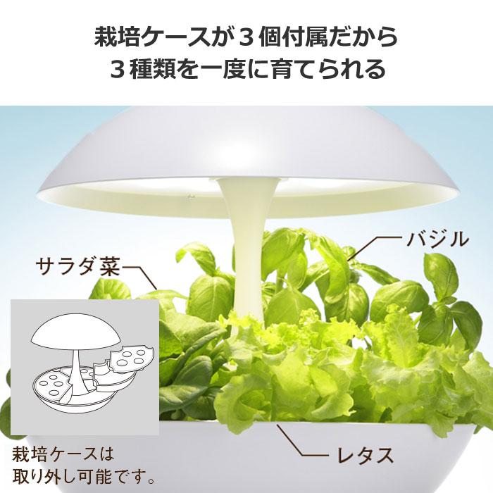 MotoM モトム LED水耕栽培器 灯菜 アカリーナ Akarina01RN OMA01RN2 白