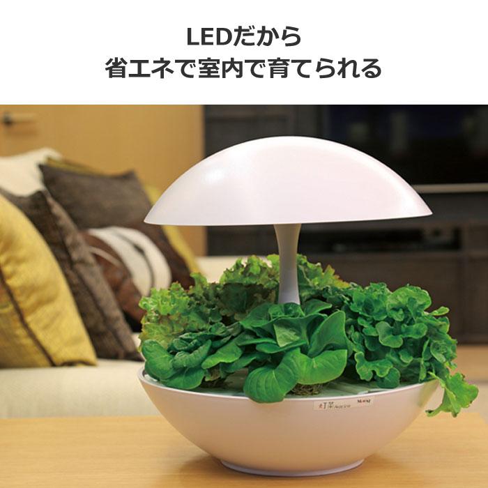MotoM モトム LED水耕栽培器 灯菜 アカリーナ Akarina01RN OMA01RN2 白