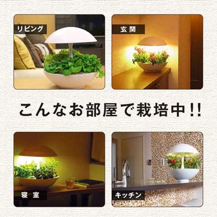 MotoM モトム LED水耕栽培器 灯菜 アカリーナ Akarina01RN OMA01RN2 白