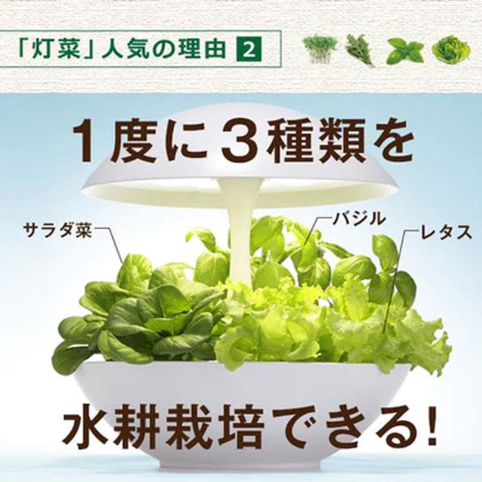 MotoM モトム LED水耕栽培器 灯菜 アカリーナ Akarina01RN OMA01RN2 白