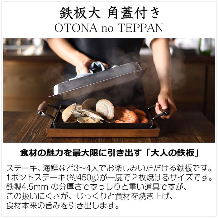 大人の鉄板 オークス 鉄板大 角蓋付き OTS8111 : PCあきんどデジタル館