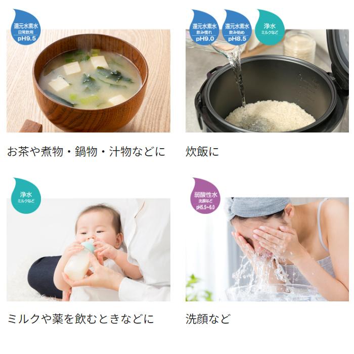 Panasonic（パナソニック） 還元水素水生成器 19物質除去 7つの水 電極