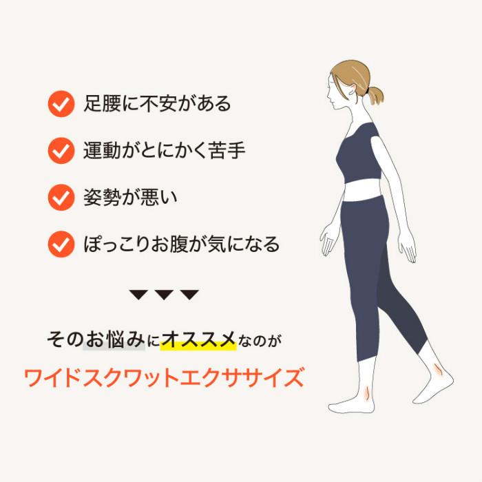 PROIDEA（プロイデア） ドリーム エクササイズクッション ワイド