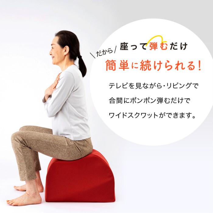 PROIDEA（プロイデア） ドリーム エクササイズクッション ワイド