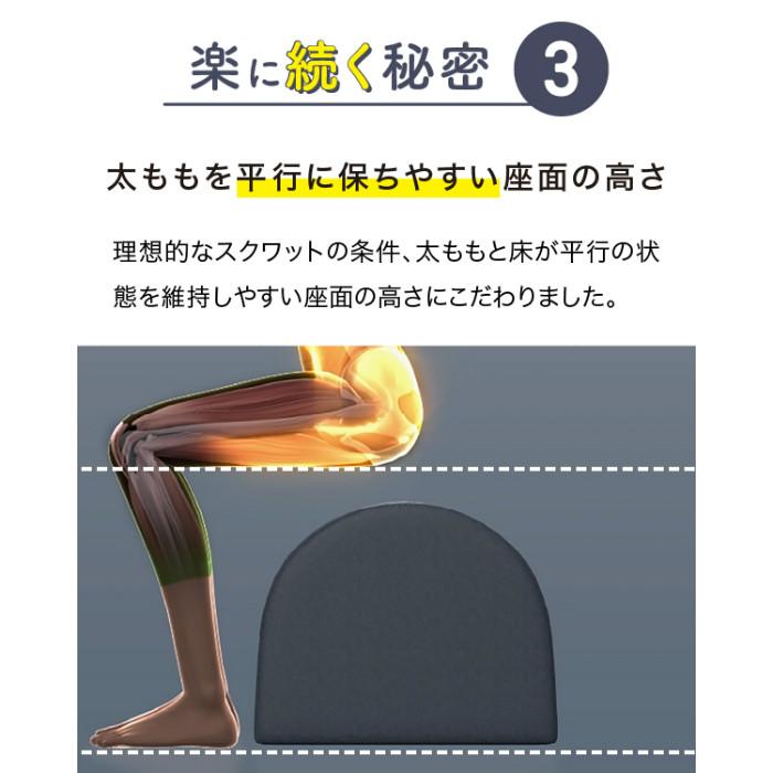 PROIDEA（プロイデア） ドリーム エクササイズクッション ワイド